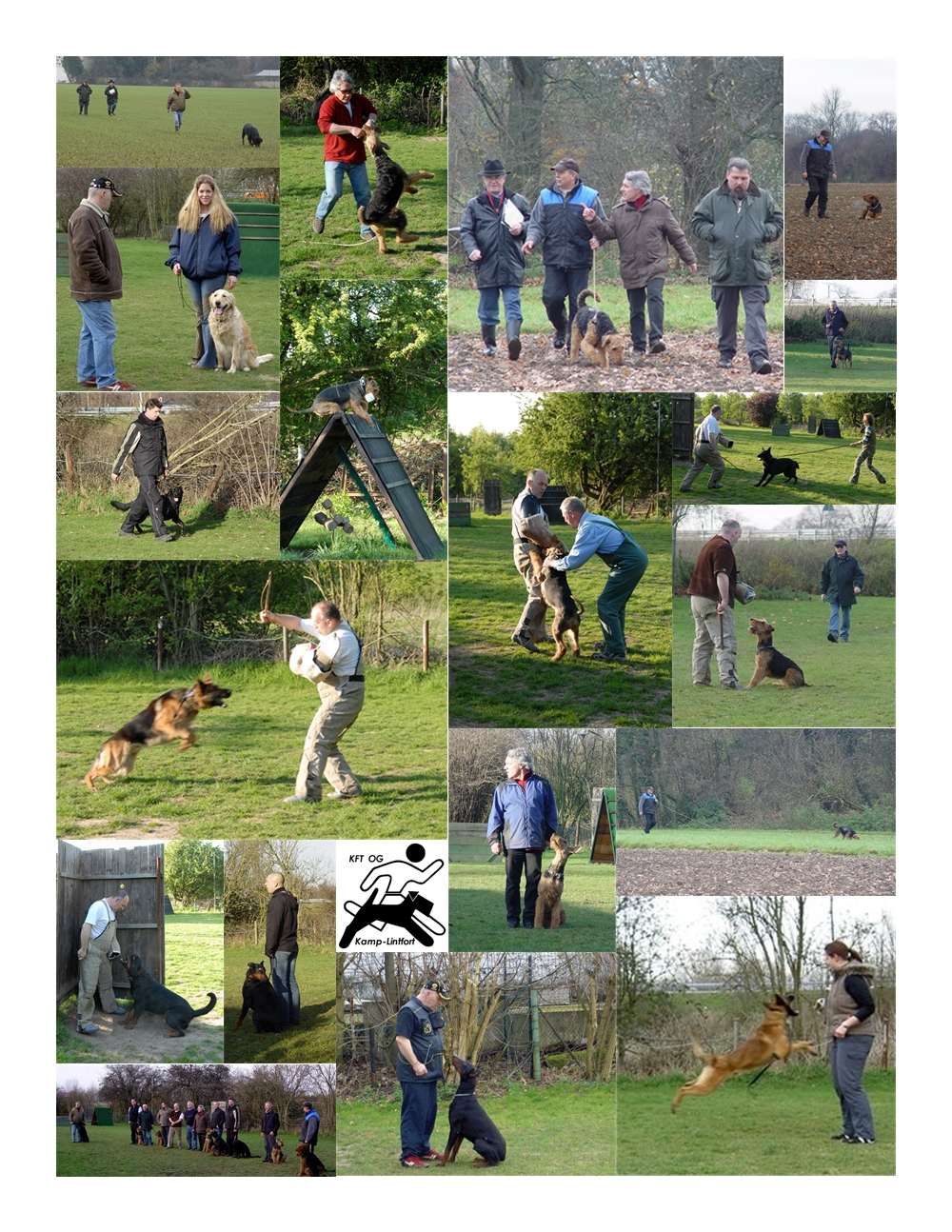 Bilder vom Training im Frühjahr und der Herbstprüfung am 22.11.2007